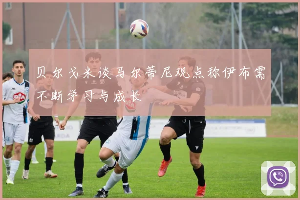 贝尔戈米谈马尔蒂尼观点称伊布需不断学习与成长