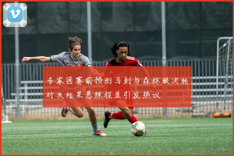 专家团赛前预测马刺与森林狼次轮对决结果悬殊程度引发热议